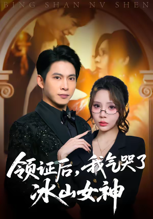 领证后，我气哭了冰山女神（60集）哪个短剧网能看