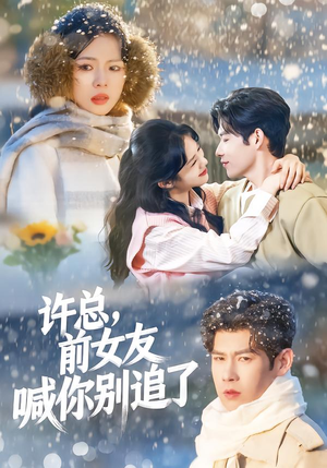 许总，前女友喊你别追了（80集）每日短剧分享