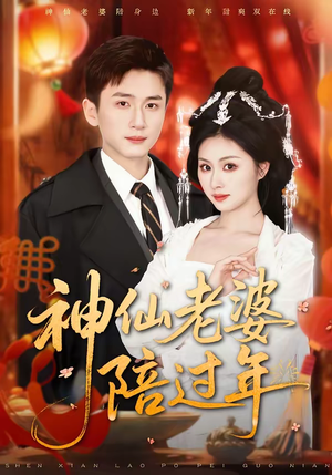 神仙老婆陪过年（66集）完整版免费观看