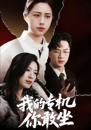 我的专机你敢坐（62集）短剧全集免费