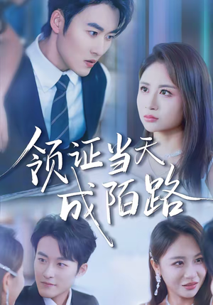 领证当天成陌路（39集）在哪看免费