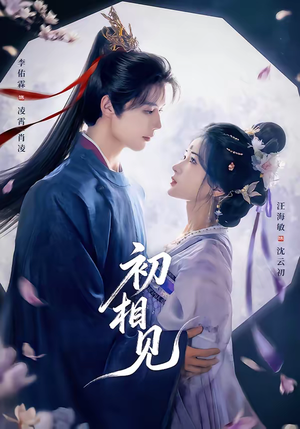 初相见（76集）完整版免费观看
