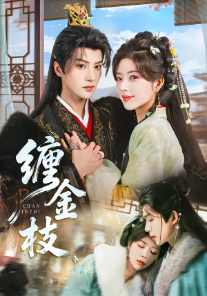 缠金枝（69集）热门短剧又来了
