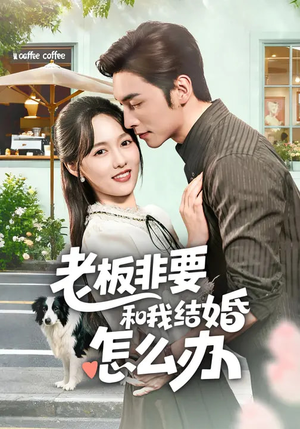 老板非要和我结婚怎么办（50集）上热门短剧