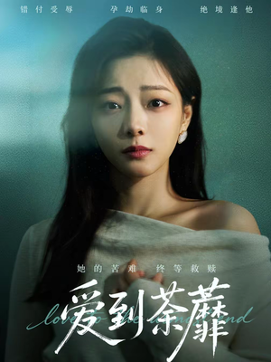 爱到荼蘼（63集）一共多少集