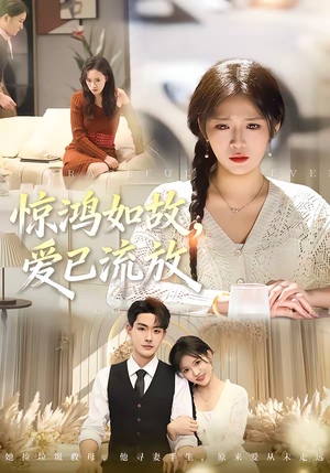 惊鸿如故，爱已流放（81集）全集