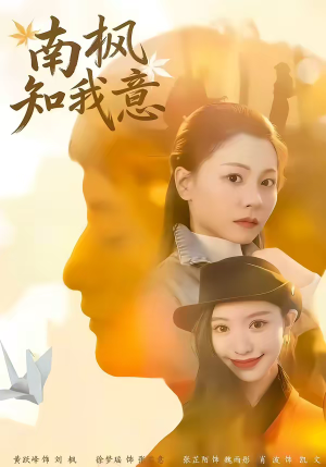 南枫知我意（41集）高分推荐免费看