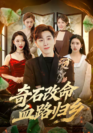 奇石改命血路归乡（81集）火爆短剧来袭