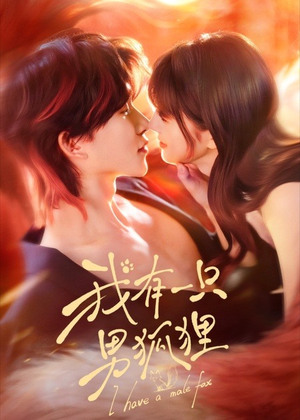 我有一只男狐狸（48集）贝贝短剧分享