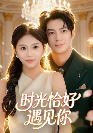 时光恰好遇见你（80集）精彩短剧热播中