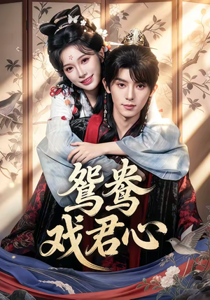 鸳鸯戏君心（60集）短剧免费看全集