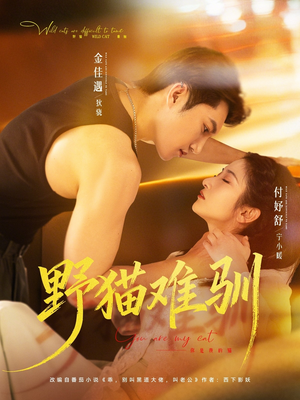 野猫难驯（73集）精彩短剧片段