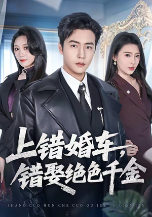 上错婚车，错娶绝色千金（80集）全部免费看全集