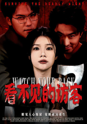 看不见的访客（62集）西瓜短剧免费看