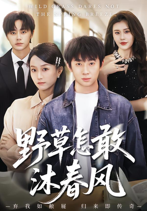 野草怎敢沐春风（61集）百万短剧抢先看