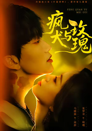 疯犬与玫瑰（80集）每日短剧分享