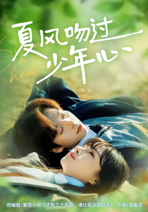 夏风吻过少年心（76集）哪个网站可以看