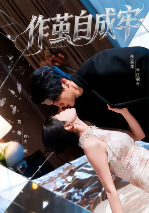 作茧自成牢（52集）热播古装短剧