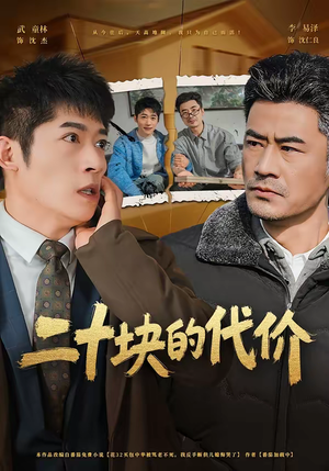 二十块的代价（64集）西瓜短剧免费看