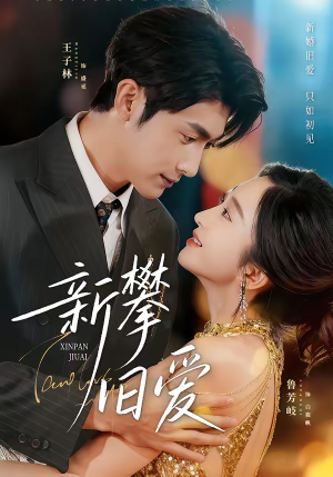 新攀旧爱（67集）经典老剧免费看