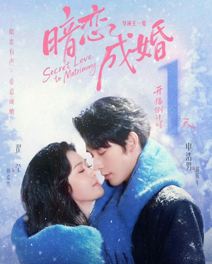 暗恋成婚（60集）精彩连连免费看