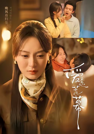 爱意荒幕（70集）精彩短剧热播