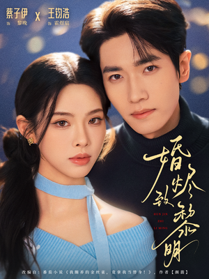 婚烬致黎明（77集）在线免费观看