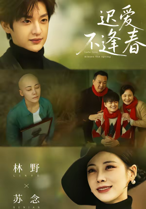 迟爱不逢春（62集）在线看