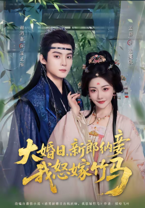 大婚日，新郎纳妾我怒嫁竹马（80集）全剧免费观看