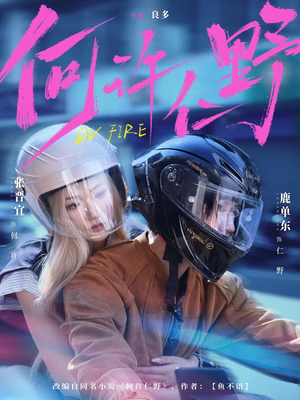 何许仁野（60集）短剧太好看