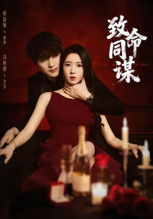 致命同谋（63集）第一季