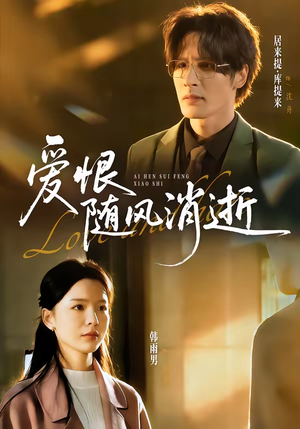 爱恨随风消逝（60集）百度网盘资源