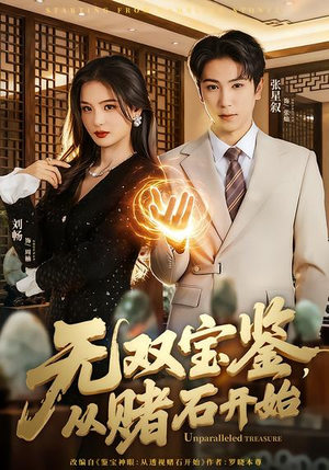 无双宝鉴，从赌石开始（70集）热门短剧推荐。