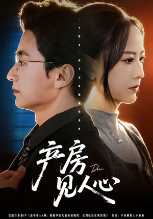 产房见人心（98集）全集下载