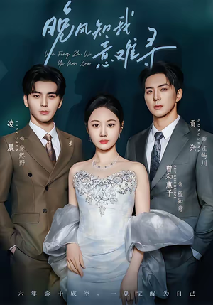 晚风知我意难寻（60集）追短剧看全集