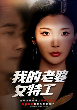 我的老婆女特工（62集）在线免费观影