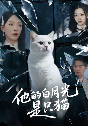他的白月光是只猫（69集）古装短剧热播
