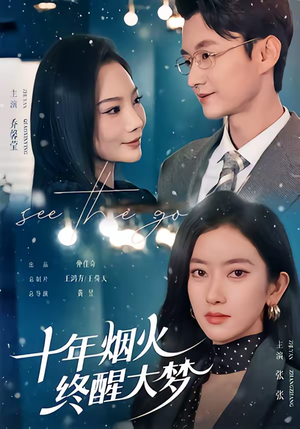 十年烟火，终醒大梦（60集）全集完整版