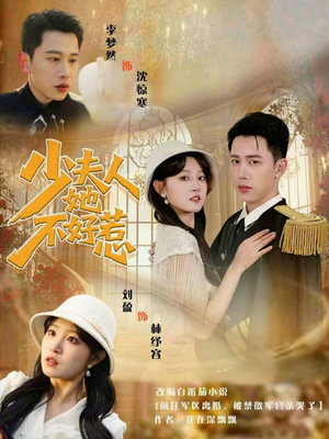 少夫人她不好惹（69集）热门火爆短剧