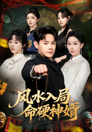风水入局,命硬神婿(80集) 风水入局,命硬神婿(80集)在线观看