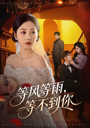 等风等雨，等不到你（65集）精彩热门短剧