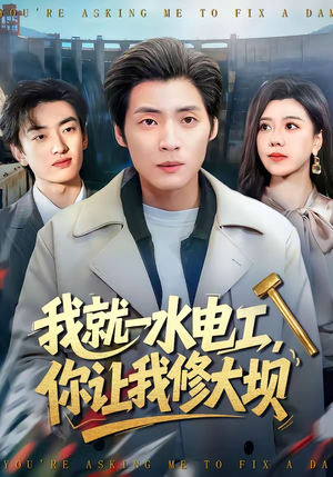 我就一水电工，你让我修大坝（65集）在哪里看