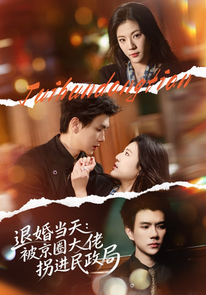 退婚当天：被京圈大佬拐进民政局（80集）爱上了这部剧了
