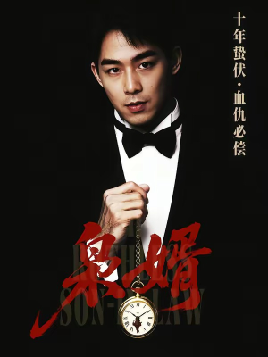 枭婿（62集）经典老剧免费看