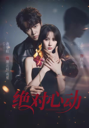 绝对心动（66集）80到100集