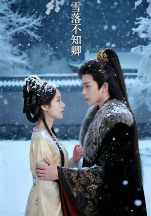 雪落不知卿（62集）好看短剧推荐