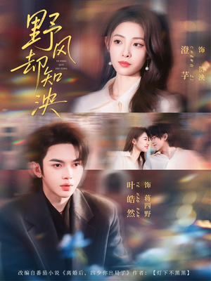 野风却知泱（80集）分享好看的短剧