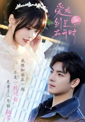 爱在剑兰花开时（56集）免费观看