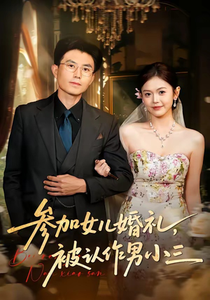 参加女儿婚礼，被认作男小三（36集）好看的短剧