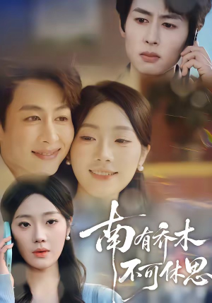 南有乔木，不可休思（68集）短剧完整版免费
